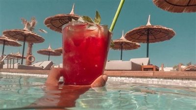 غرائب الجونة .. حفلة على شرف أشهر مطلقة فى 2019