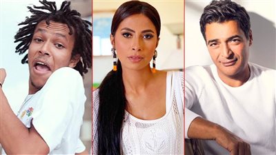 حميد الشاعري وروبي وويجز يجتمعون في أغنية واحدة قريبا