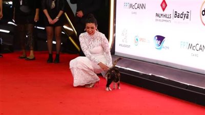 كشف حساب القاهرة السينمائي 2020 .. قطة الريد كاربت أطرف لقطة في المهرجان