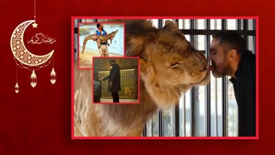 أمير كرارة ومحمد رمضان وأحمد العوضي .. نجوم الحيوانات المفترسة في رمضان 2021