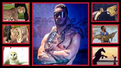 فهد ونمر وأسد وتمساح وبومة وحصان وتعبان .. حيوانات محمد رمضان على السوشيال ميديا 