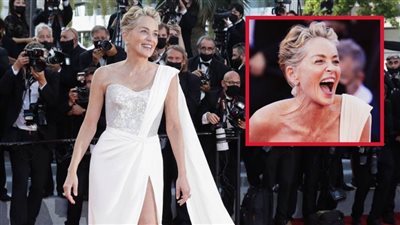 شارون ستون .. ظهرت مع ابنها على السجادة الحمراء لمهرجان كان وحصلت على وسام الاستحقاق للفنون والآداب