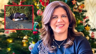 درست الهندسة واتجهت إلى الإعلام لمناصرة القضية الفلسطينية .. من هي شيرين أبو عاقلة صوت فلسطين وشهيدة الصحافة العربية