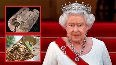 الملكة إليزابيث .. قصة حجر القدر وحكاية إبلاغ نحل القصر بوفاتها