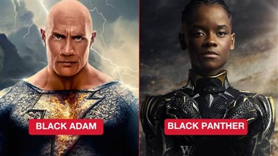 بوكس أوفيس هوليوود .. Black Panther في الصدارة بـ 740 مليون دولار ودواين جونسون في المركز الأخير بـ 385 مليون