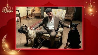 بالصور : كواليس الحلقات الأخيرة من مسلسل ضرب نار بطولة ياسمين عبدالعزيز وأحمد العوضي