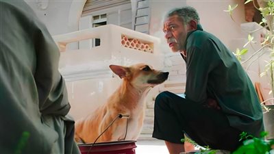 فيلم 19 ب بطولة سيد رجب يحصد 20 ألف جنيه في أول أيام عرضه