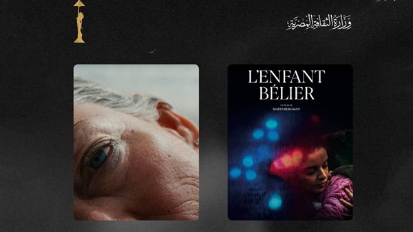 مهرجان القاهرة السينمائي