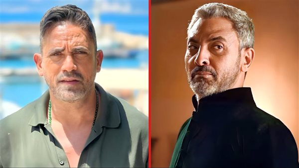 فتحي عبدالوهاب ـ أمير كرارة 