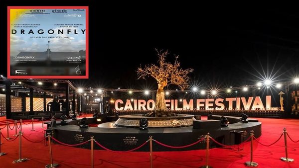 مهرجان القاهرة السينمائي  