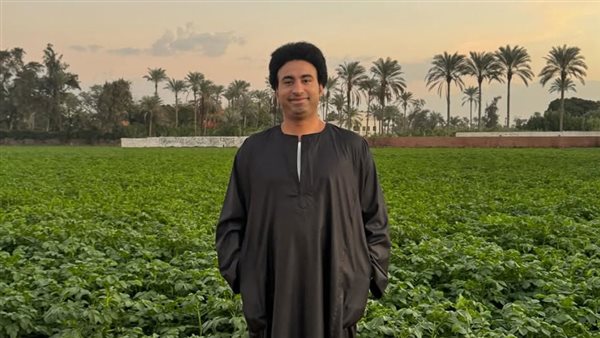 علي ربيع  
